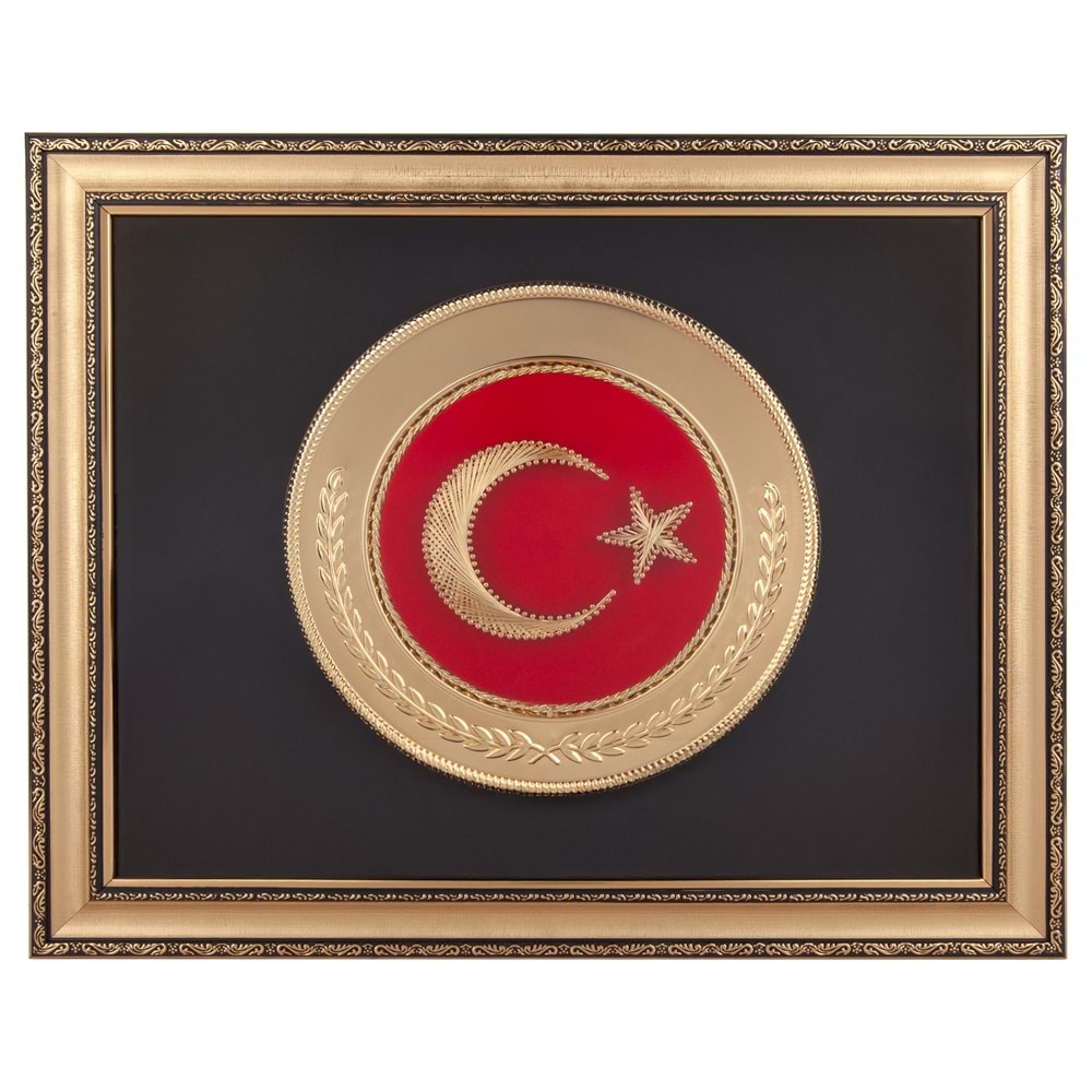 ALPAGUT ALTIN AYYILDIZ ARMA TABLO